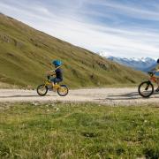 leu006_sommer_torrent.jpg